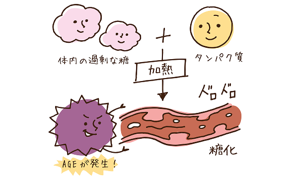 体内の過剰な糖＋タンパク質 加熱→ AGEが発生 ドロドロ 糖化