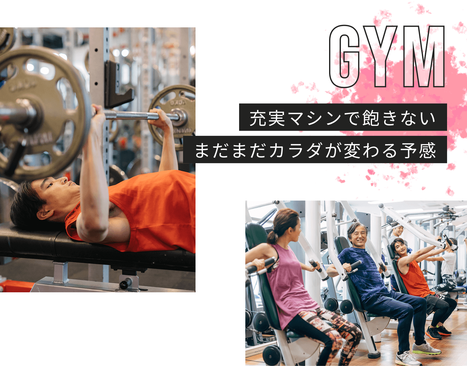 GYM 充実マシンで飽きない まだまだカラダが変わる予感
