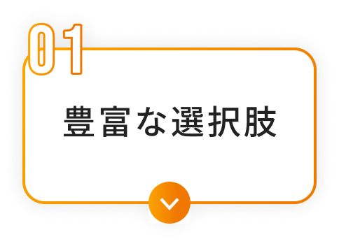 豊富な選択肢