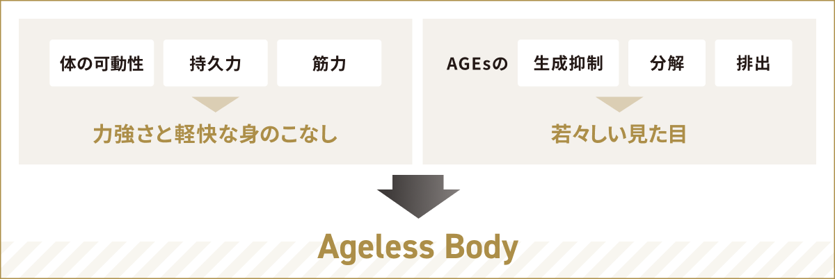 体の可動性 持久力 筋力 力強さと軽快な身のこなし AGEsの生成抑制 分解 排出 若々しい見た目 AgelessBody