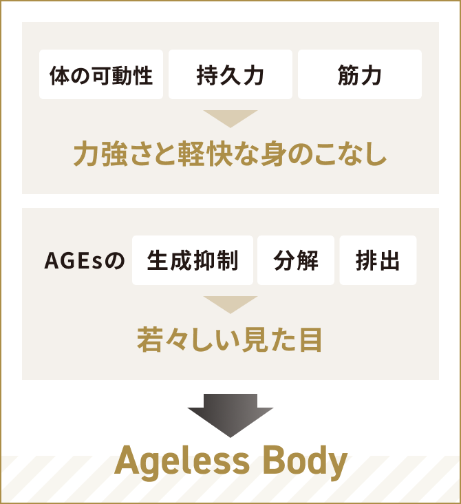 体の可動性 持久力 筋力 力強さと軽快な身のこなし AGEsの生成抑制 分解 排出 若々しい見た目 AgelessBody