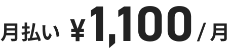 月払い ¥1,100/月