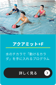 アクアミット+F