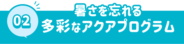 暑さを忘れる多彩なアクアプログラム