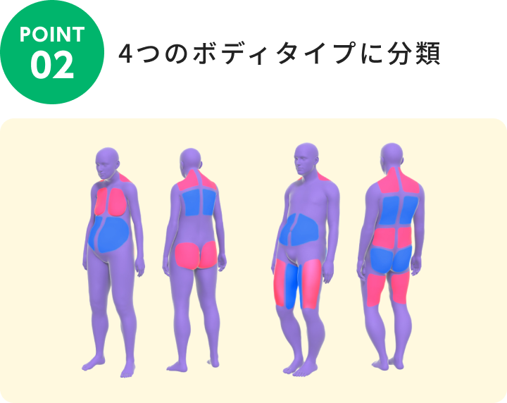 4つのボディタイプに分類