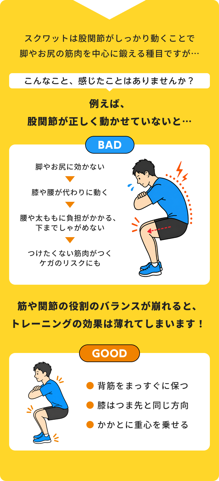 スクワットは股関節がしっかり動くことで脚やお尻の筋肉を中心に鍛える種目ですが…筋や関節の役割のバランスが崩れると、トレーニングの効果は薄れてしまいます！
