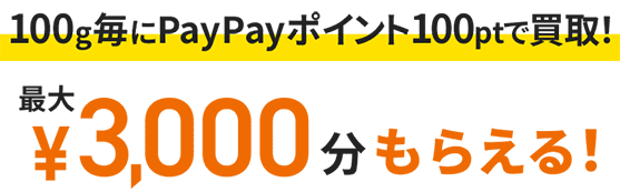 100gごとにPayPayポイント100ptで買取！