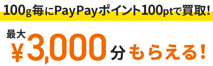 100gごとにPayPayポイント100ptで買取！