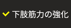 下肢筋力の強化