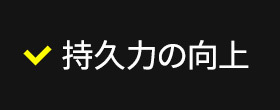 持久力の向上