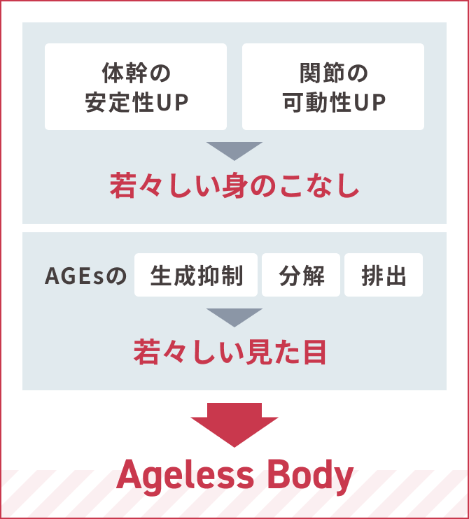 体幹の安定性UPと関節の可動性UPで若々しい身のこなしを。AGEsの生成抑制・分解・排出で若々しい見た目を。若々しい身のこなしと見た目がAgeless Bodyをつくる。