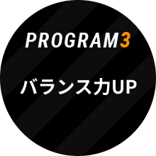 PROGRAM3 バランス力UP