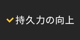 持久力の向上