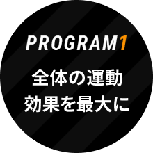 Program1 全体の運動効果を最大に