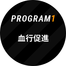 PROGRAM1 血行促進