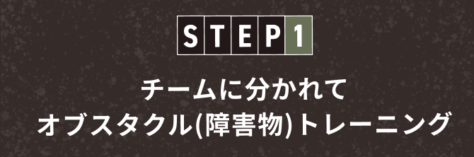 チームに分かれてオブスタクル(障害物)トレーニング