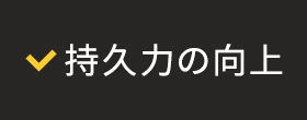 持久力の向上