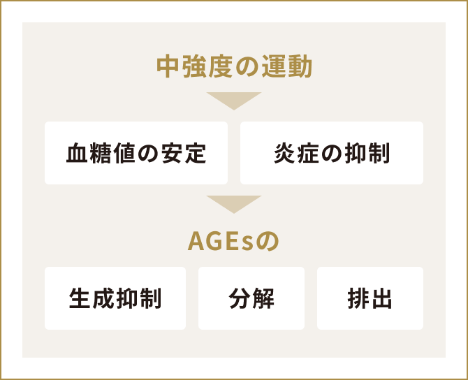 中強度の運動が血糖値を安定させ、炎症を抑制する。そしてそれがAGEsの生成抑制・分解・排出に繋がる。