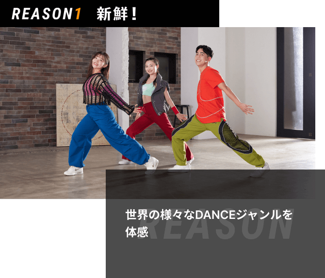 MOVEBODY DANCE | フィットネスクラブ ティップネス