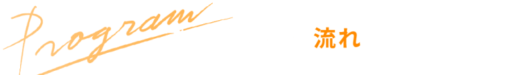 プログラムの流れ