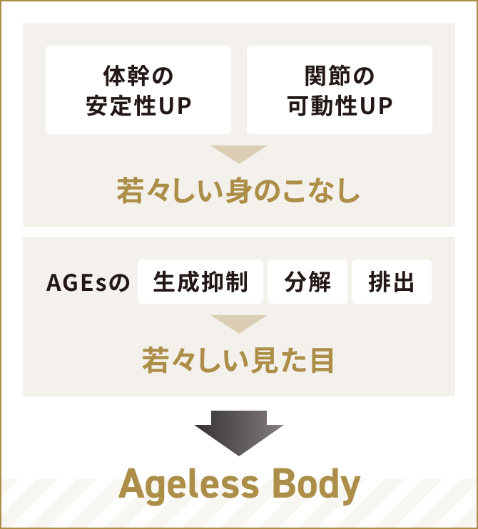 体幹の安定性UPと関節の可動性UPで若々しい身のこなしを。AGEsの生成抑制・分解・排出で若々しい見た目を。若々しい身のこなしと見た目がAgeless Bodyをつくる。