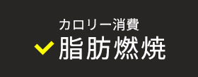 カロリー消費　脂肪燃焼